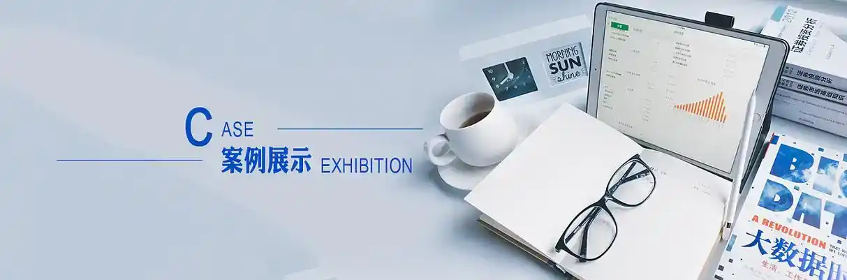 定边县软件开发